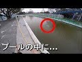 【豊島園FA】真冬の遊園地のプールで釣りしてみたら…【2018.02.28】