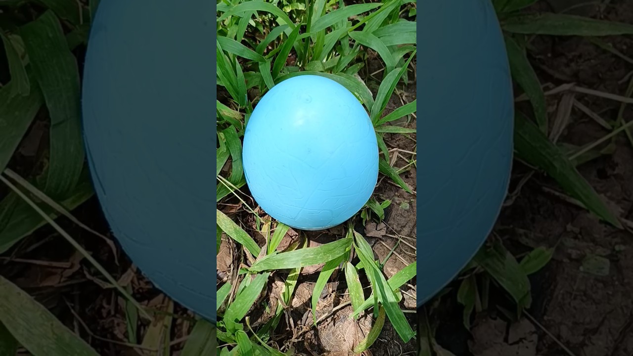 big blue egg 