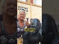 Caesar has now gone to live in London