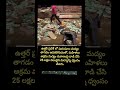 వీళ్ళు చేసిన పని కరెక్టేనా..? 25 లక్షల విలువైన.. #nevergiveup #motivation #kindness #inspirational