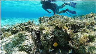 5 Day Solo Trip to the Berry Islands Bahamas in a Crooked PilotHouse Boat