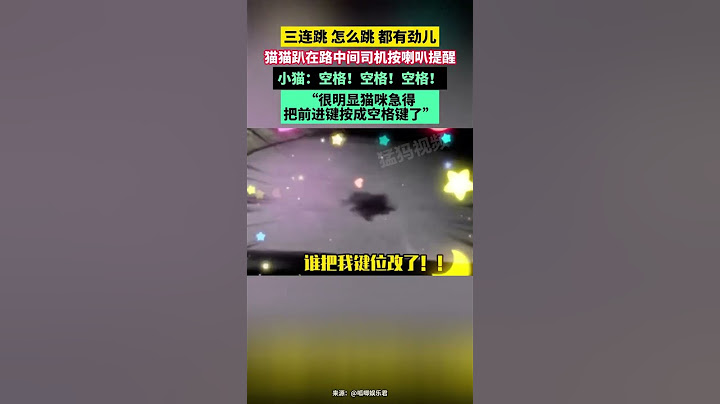 三連跳 怎么跳 都有勁兒，貓貓趴在路中間司機按喇叭提醒，小貓：空格！空格！空格！“很明顯貓咪急得把前進鍵按成空格鍵了”