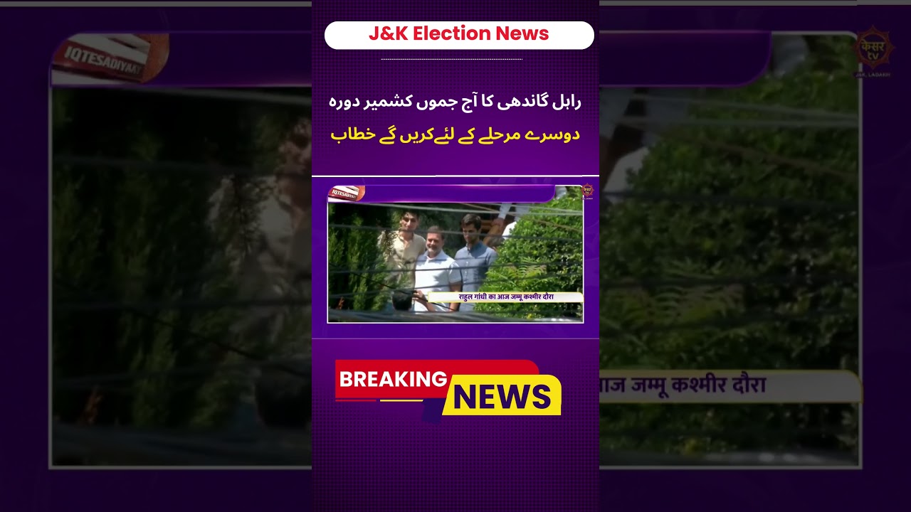 JK Elections 2024: Rahul Gandhi in Jammu & Kashmir, Campaigns for Phase 2 Elections