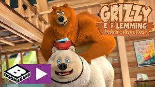 Un irresistibile orso polare | Grizzy e i Lemming | Boomerang Resimi