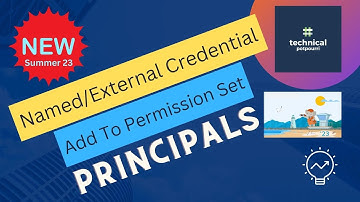 How To Add Named Credentials To Permission Set Using Principals