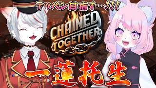 Kubyo Nagi / 九猫なぎの配信のサムネイル画像