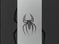 How To Draw Spider Drawing Art Drawingtutorial Tutorial Sketch 