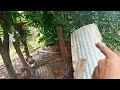 Construção do galinheiro