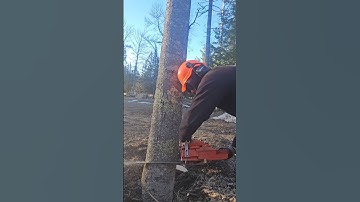 Simple becomes difficult quick see full video #echo #landscape  #subscribers goal🙏