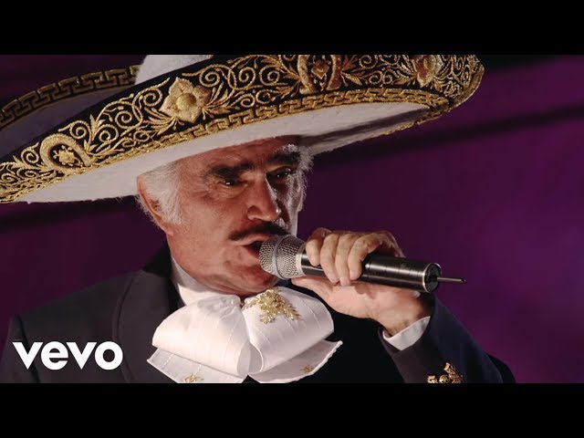 Vicente Fernandez - Motivos