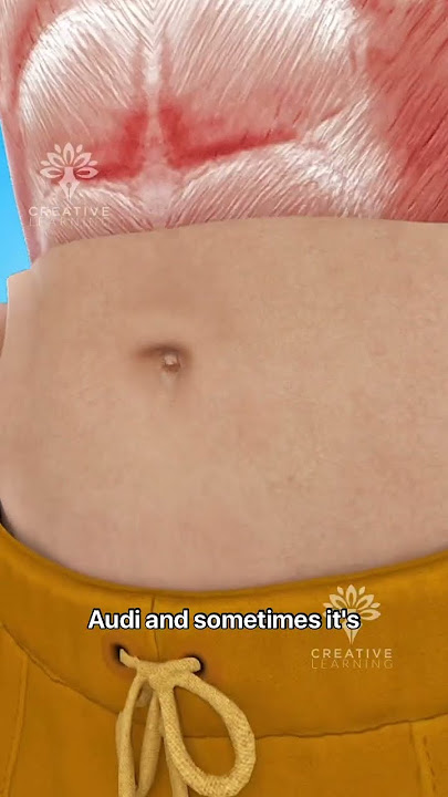 Why Do Some People Have an Outie Belly Button 🤔 #short - Creativelearning3d