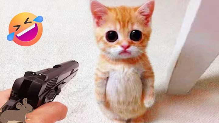 Watch the video about Hilarious Animals FUNNY MOMENTS 🐕 FUNNY DOGS and CATS VIDEOS 2025🐈FUNNY CUTE kittens