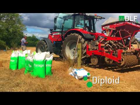 Eamonn Kent Reseeding