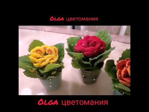 Кальцеолярия, уход и содержание в домашних условиях 💖