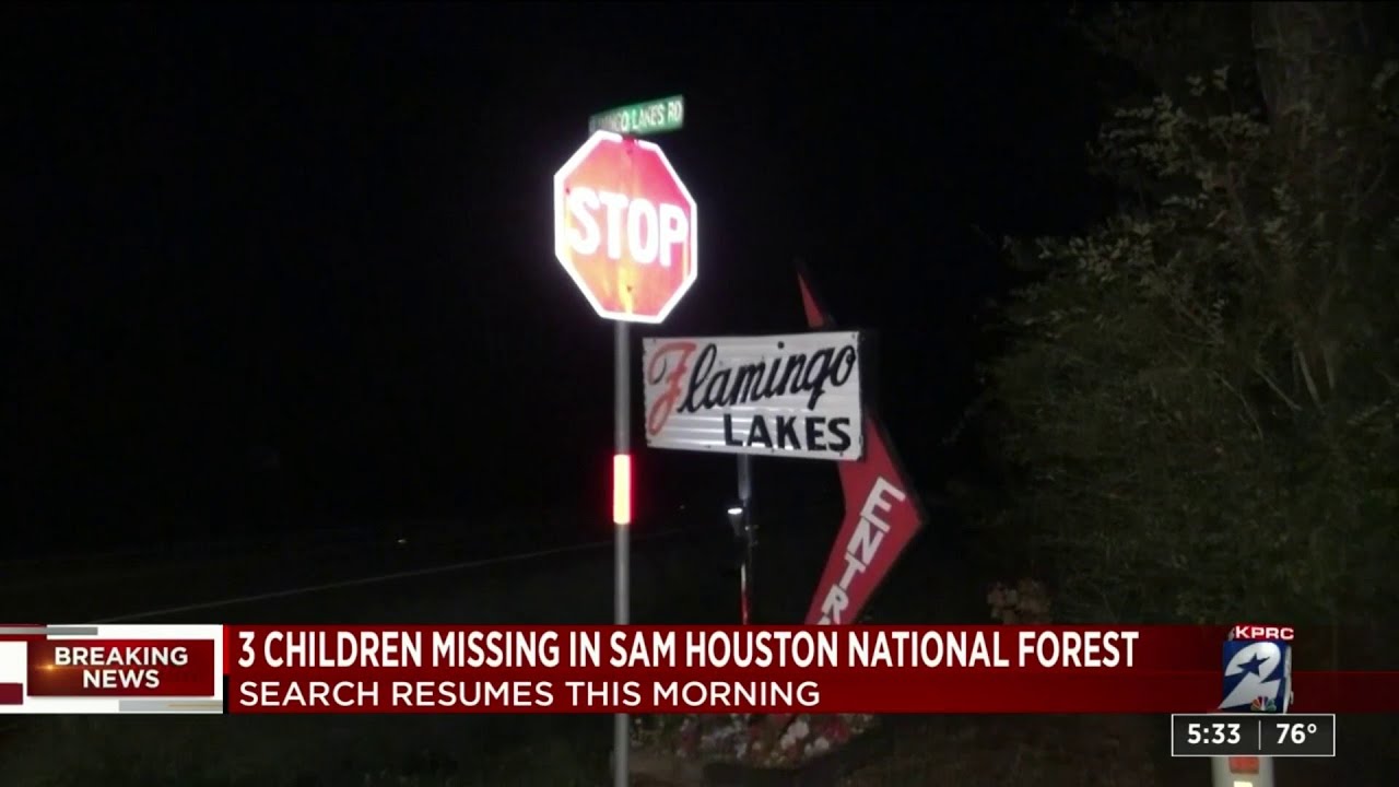 Deputies searching Sam Houston National Forest for 3 missing children ...