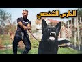حارس المزرعة الجديد ارام موسى حارس المزرعة الجديد ارام موسى