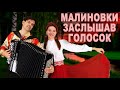Малиновки заслышав голосок - поют Вячеслав Абросимов и Ирина Нэлсо / дуэт "Вячиринка"