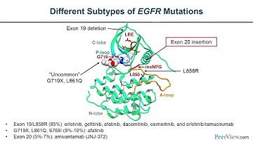 Testing for Common and Uncommon EGFR Mutations to Guide EGFR-Targeted Therapy in NSCLC