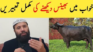 Khwab ki tabeer in hindi | Khwab mein bhains dekhna | buffalo dream meaning | خواب میں بھینس دیکھنا