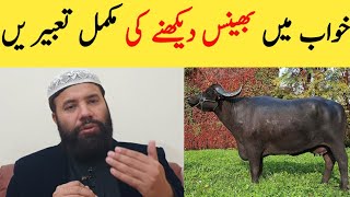 Khwab Ki Tabeer In Hindi Khwab Mein Bhains Dekhna Buffalo Dream Meaning خواب میں بھینس دیکھنا