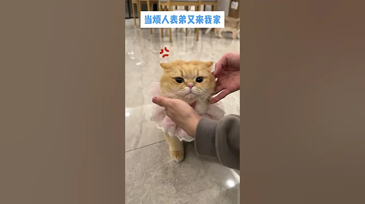【魚蛋仔的快樂分享】當煩人的表弟又來我家... - 天天要聞