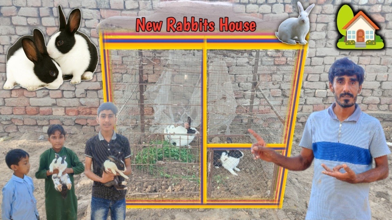 New House For Rabbits🐇🏡Mubashir munawar\sadaqat sial vlog YouTube