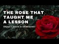 Object Lesson on ATTITUDE Using a Rose