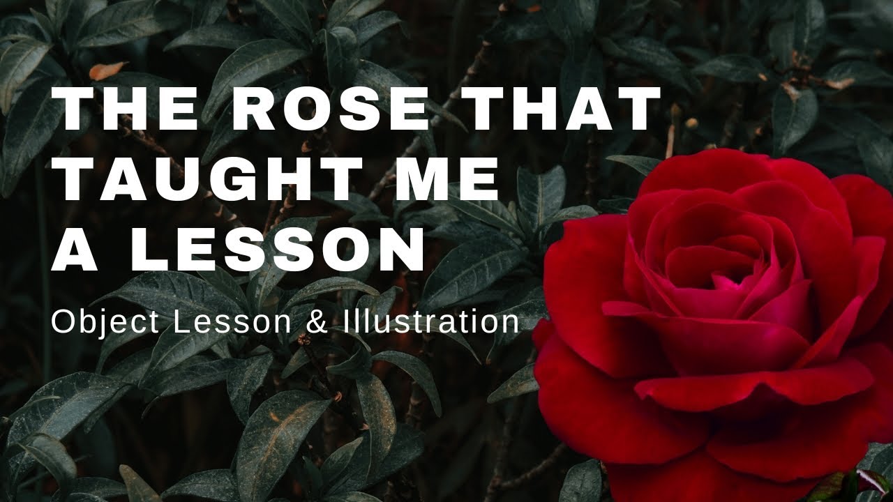 Lesson From Roses Object Lesson on ATTITUDE Using a Rose - YouTube