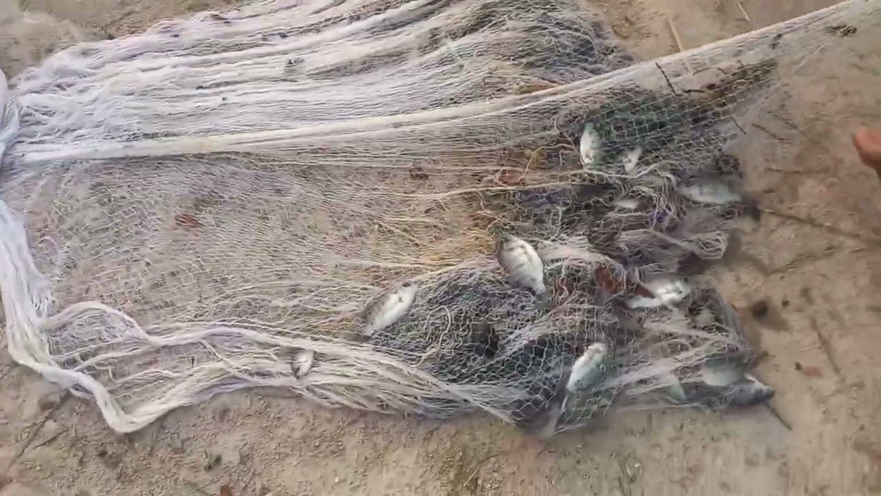 รอบที่ 2 ตอนเย็นๆครับ