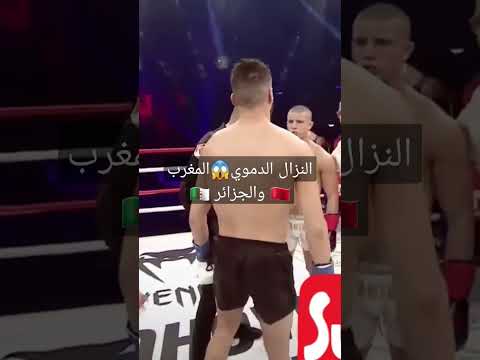 نزال القرن بين المغرب و الجزائر  202 عشق القناة القتالية مرحبا بكم إشتركوا