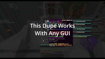 Working 2024 Hypixel Skyblock Dupe Mod Showcase