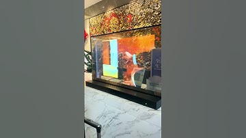 The 30-inch Autonomous Hotel Management System #hotel#checkin#oled