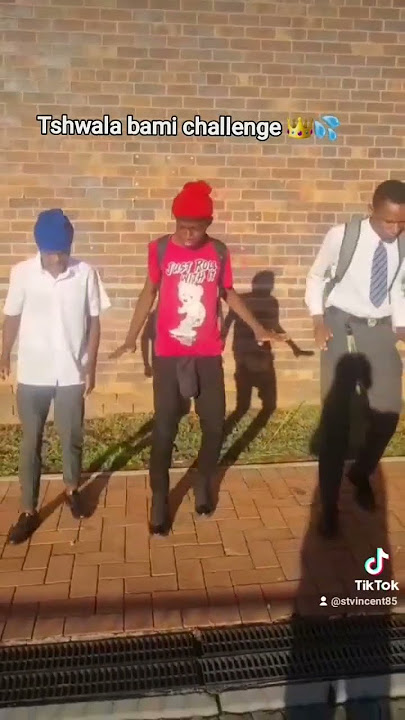 Tshwala bami challenge #amapiano #freestyledance #southafrica #dance #amapianodancers