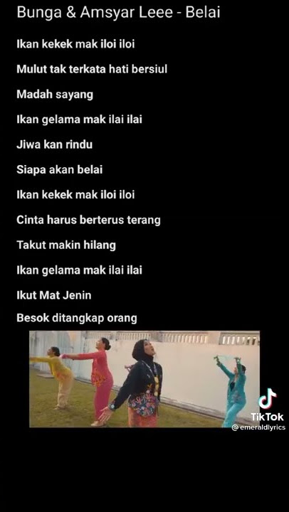 lagu Bunga & Amsyar Leeee  Belai