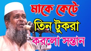 দরদী মাকে কেটে তিন টুকরা করলো নিষ্ঠুর সন্তান |মাওলানা তোফাজ্জল হোসেন ভৈরবি |Mawlana Tofazzal Hossain