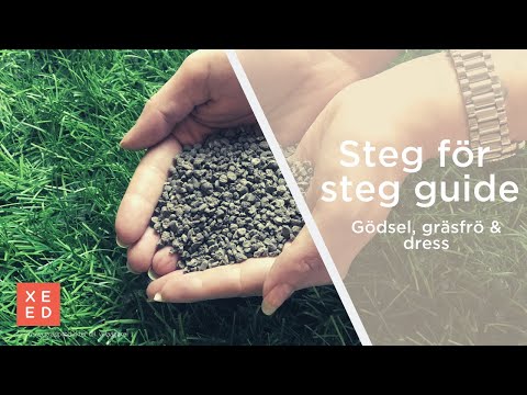Video: Zebrapaj På Gräddfil: Steg-för-steg-recept Med Foton För Enkel Beredning