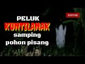 Kuntilanak Pohon Pisang