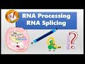 RNA splicing and Spliceosome