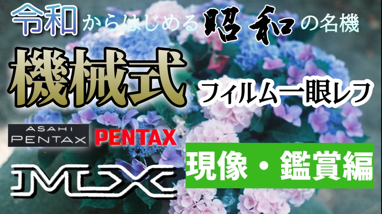本当にカンタン？機械式フィルム一眼レフ初心者が現像・データ化して