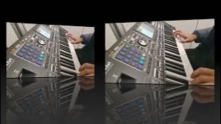 KORG PA5XMG VS KORG PA1000MG (SAIDI   ACCORDION)