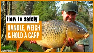 Carp Care: How to handle, hold and treat carp on the bank