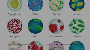 Unlocking the Secrets of Heredity: A Guide for 8th Graders"