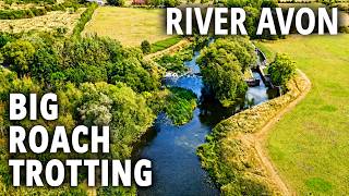 STICK FLOAT TROTTING For BIG AVON ROACH - Summer River Fishing - 17/7/26 (Video 700)