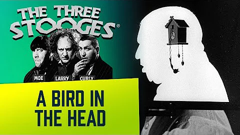 THE THREE STOOGES Full Episodes - Ep. 89 - A Bird in the Head