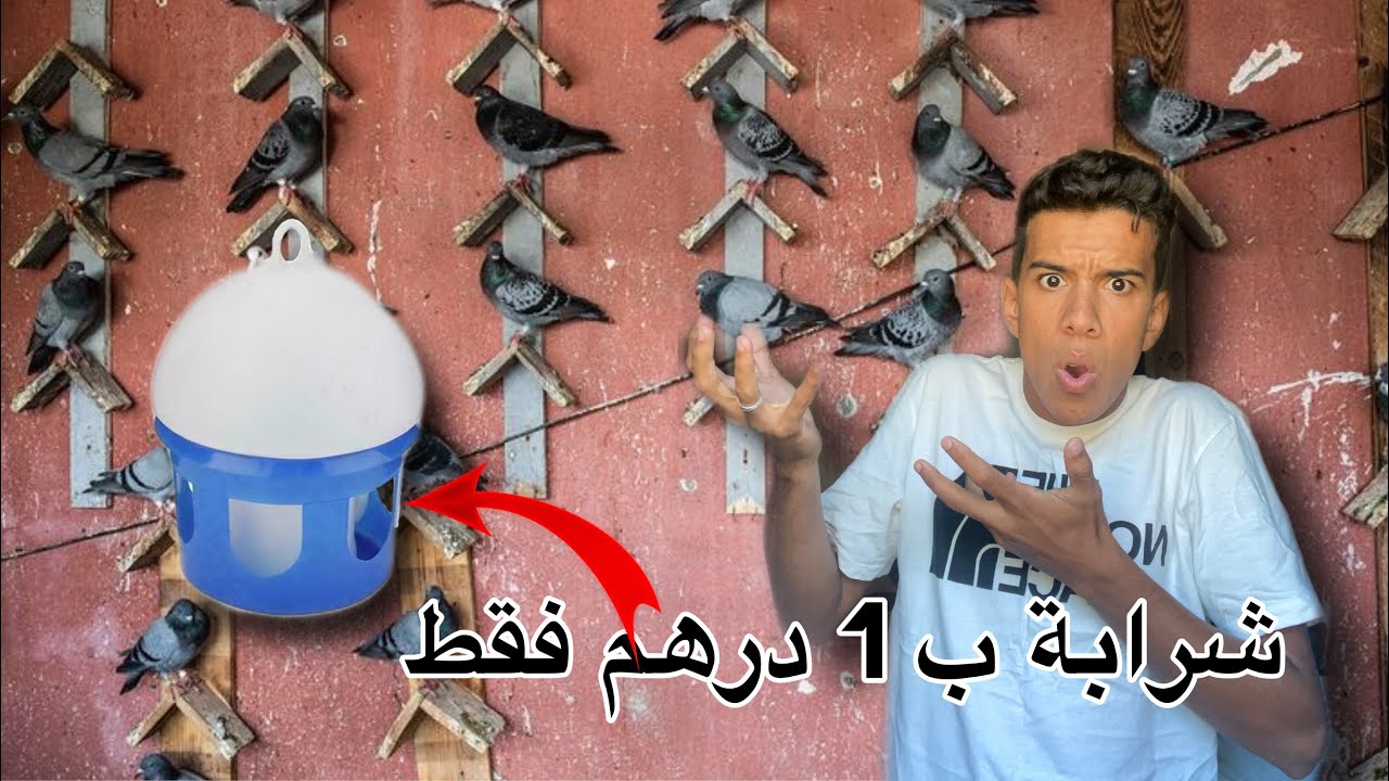 صناعة شرابة للحمام ب0 درهم