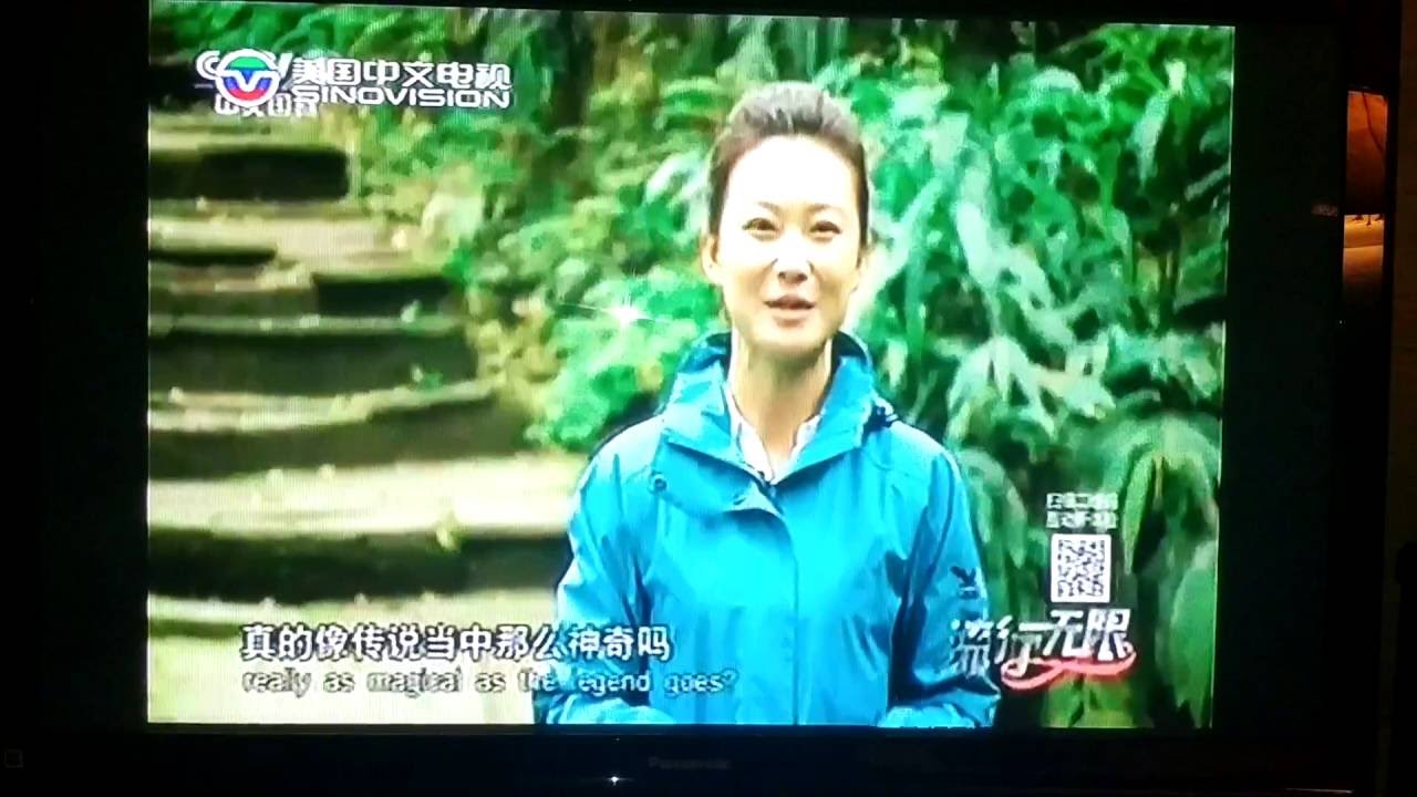 How to watch international channels using our fully loaded Amazon fire tv sticks