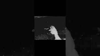 new LP by Through a Glass, Darkly #doomgaze #postrock #ambientmusic #newmusic