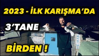 2023 İlk Güvercin Karışmasında 3Tane Yakaladım Hiç Beklemiyordum