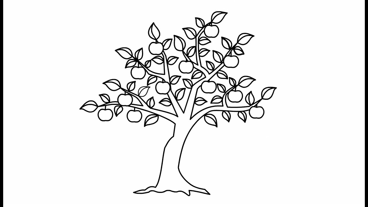 Vẽ Cây Táo Đơn Giản | Apple Tree Drawing And Coloring | Vẽ Vui TV - YouTube