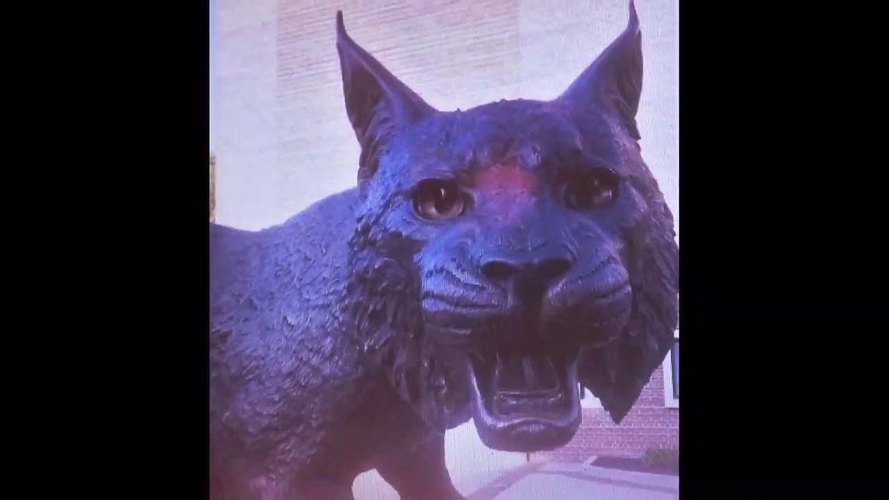 Guarda Kokomo Indiana as l remember su YouTube Guarda Kokomo Indiana as l remember su YouTube